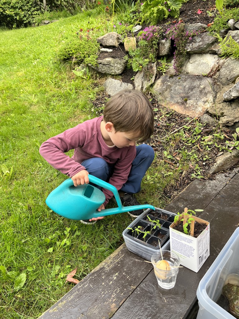 Flow School Norway - Sustainability